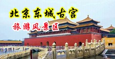 国产艹逼网中国北京-东城古宫旅游风景区